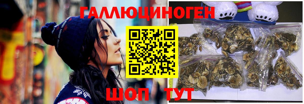 Волгоград  Галлюциногенные грибы прущие грибы  Псилоцибиновые грибы Psilocybine cubensis  Вход с VPN 